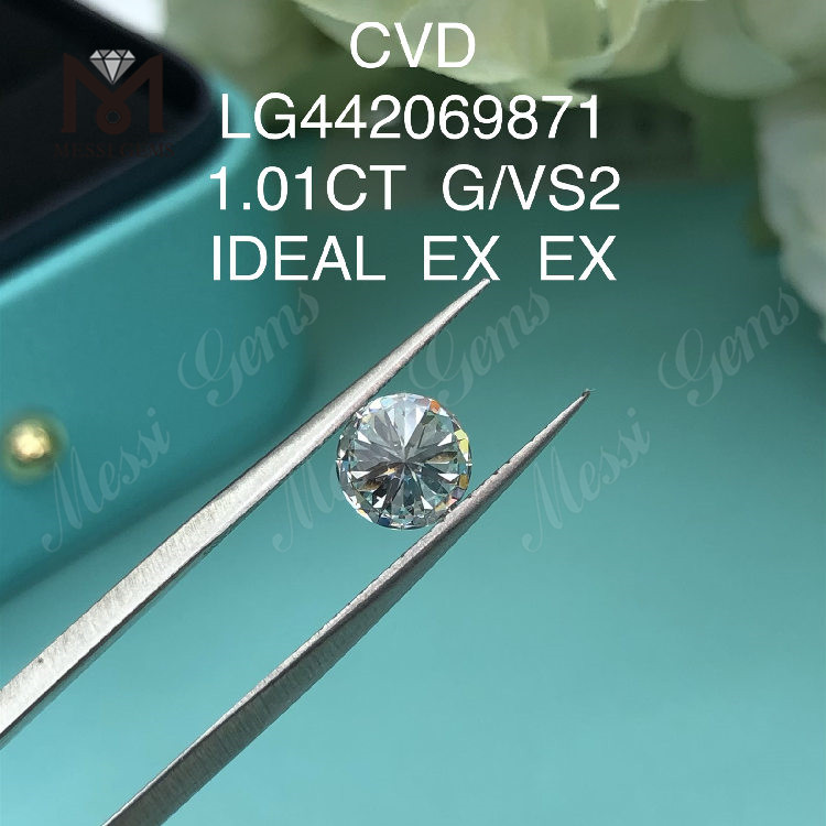 1.01 carat G VS2 Diamants ronds BRILLANT IDEAL créés en laboratoire
