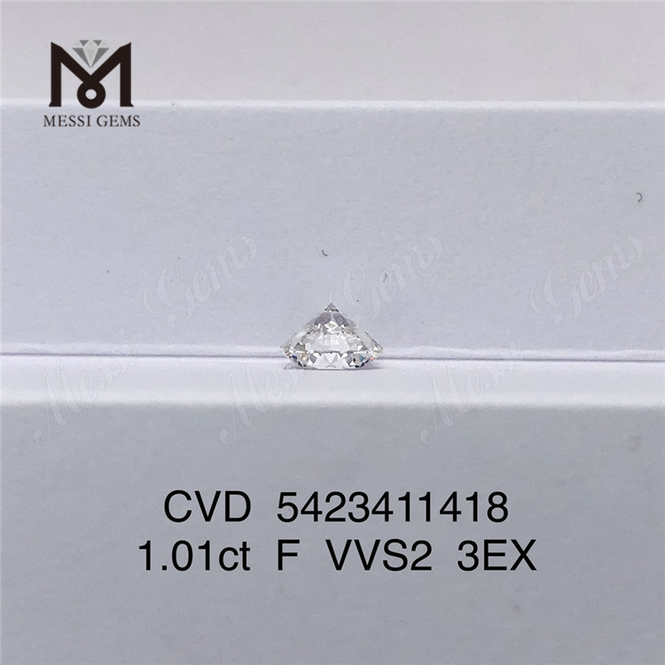 1.01ct Prix du diamant cultivé en laboratoire F VVS2 3EX Diamants de culture en vrac créés en laboratoire à vendre