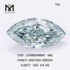 Diamants 3ct vert VS2 EX VG CVD MQ FANCY GREYISH GREEN VS2 EX VG CVD LG586346997 