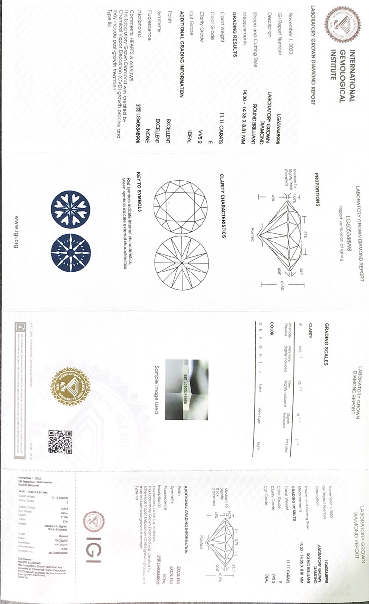 Certification igi 11ct